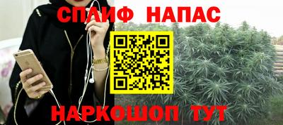 spice Владимир
